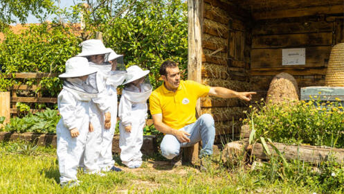 Descubre el Santuario de las abejas con cata de mieles